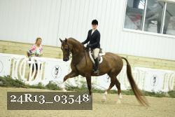 24R13_03548 thumbnail