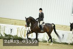 24R13_03550 thumbnail