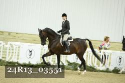 24R13_03551 thumbnail