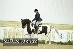 24R13_03552 thumbnail
