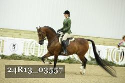 24R13_03557 thumbnail