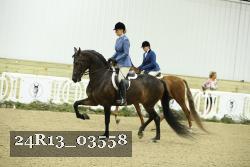 24R13_03558 thumbnail
