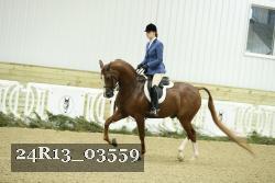 24R13_03559 thumbnail