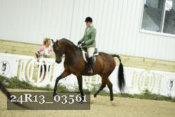 24R13_03561 thumbnail
