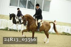 24R13_03566 thumbnail