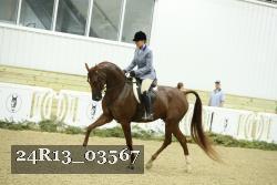 24R13_03567 thumbnail