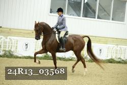 24R13_03568 thumbnail