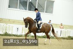 24R13_03569 thumbnail