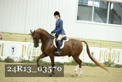 24R13_03570 thumbnail