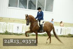 24R13_03571 thumbnail