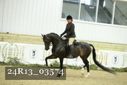 24R13_03574 thumbnail