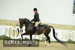 24R13_03575 thumbnail