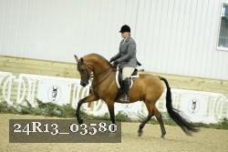 24R13_03580 thumbnail