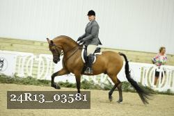 24R13_03581 thumbnail