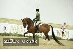 24R13_03583 thumbnail