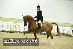 24R13_03586 thumbnail
