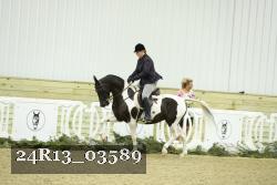 24R13_03589 thumbnail