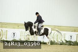 24R13_03590 thumbnail