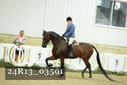 24R13_03591 thumbnail