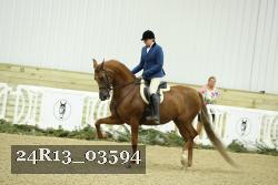 24R13_03594 thumbnail