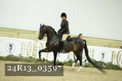 24R13_03597 thumbnail