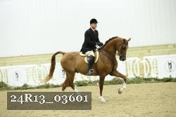 24R13_03601 thumbnail