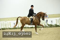 24R13_03602 thumbnail