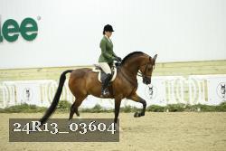 24R13_03604 thumbnail