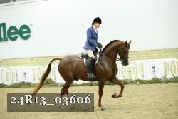 24R13_03606 thumbnail