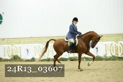 24R13_03607 thumbnail
