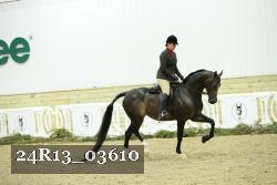 24R13_03610 thumbnail