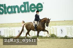 24R13_03611 thumbnail