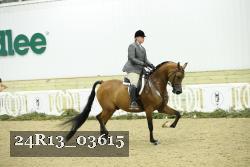24R13_03615 thumbnail