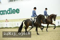 24R13_03618 thumbnail