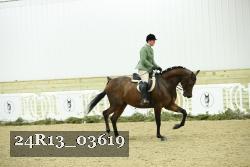 24R13_03619 thumbnail