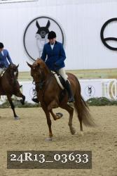 24R13_03633 thumbnail