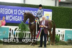 24R13_03647 thumbnail