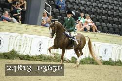 24R13_03650 thumbnail