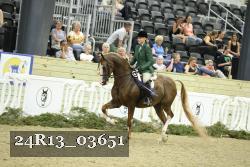 24R13_03651 thumbnail