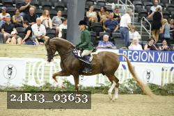 24R13_03653 thumbnail