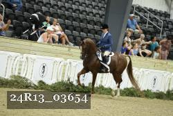 24R13_03654 thumbnail