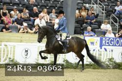 24R13_03662 thumbnail