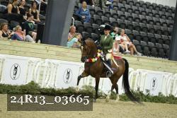 24R13_03665 thumbnail