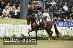 24R13_03671 thumbnail
