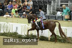 24R13_03678 thumbnail