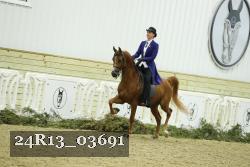 24R13_03691 thumbnail