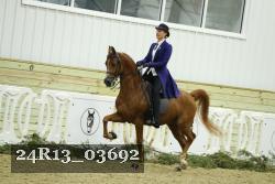 24R13_03692 thumbnail