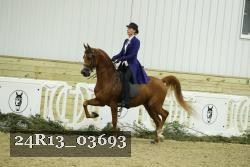 24R13_03693 thumbnail