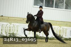 24R13_03695 thumbnail
