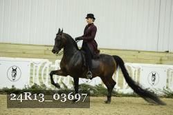24R13_03697 thumbnail